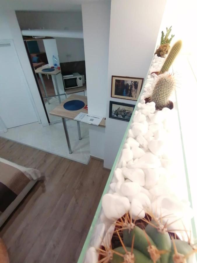 Apartman Dunja S Belgrade Exterior photo